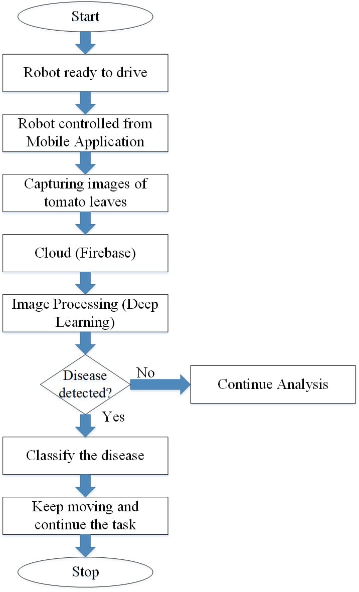 fig4.jpg