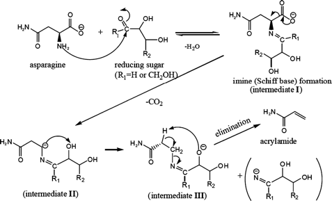 fig2.jpg