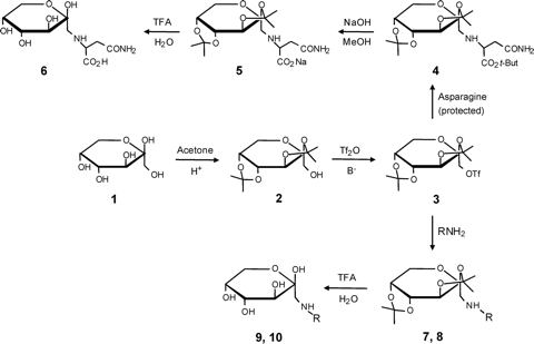 fig3.jpg