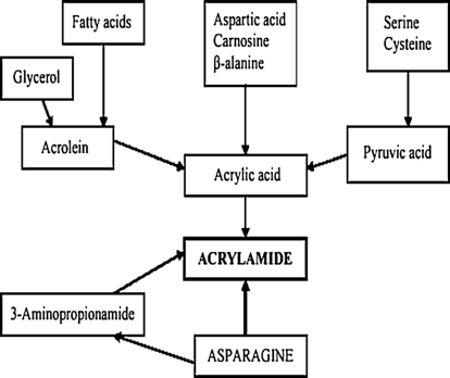 fig4.jpg