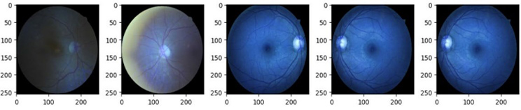 fig4.jpg