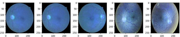 fig5.jpg