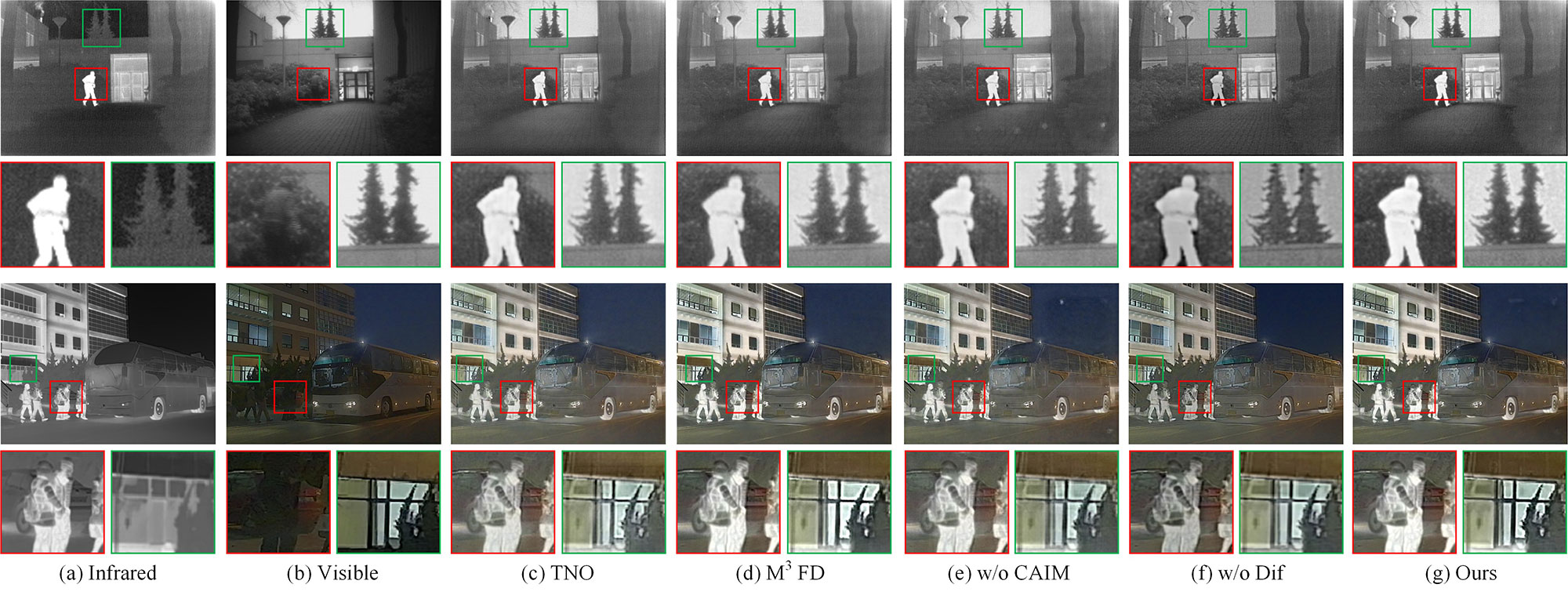 Fig10.jpg