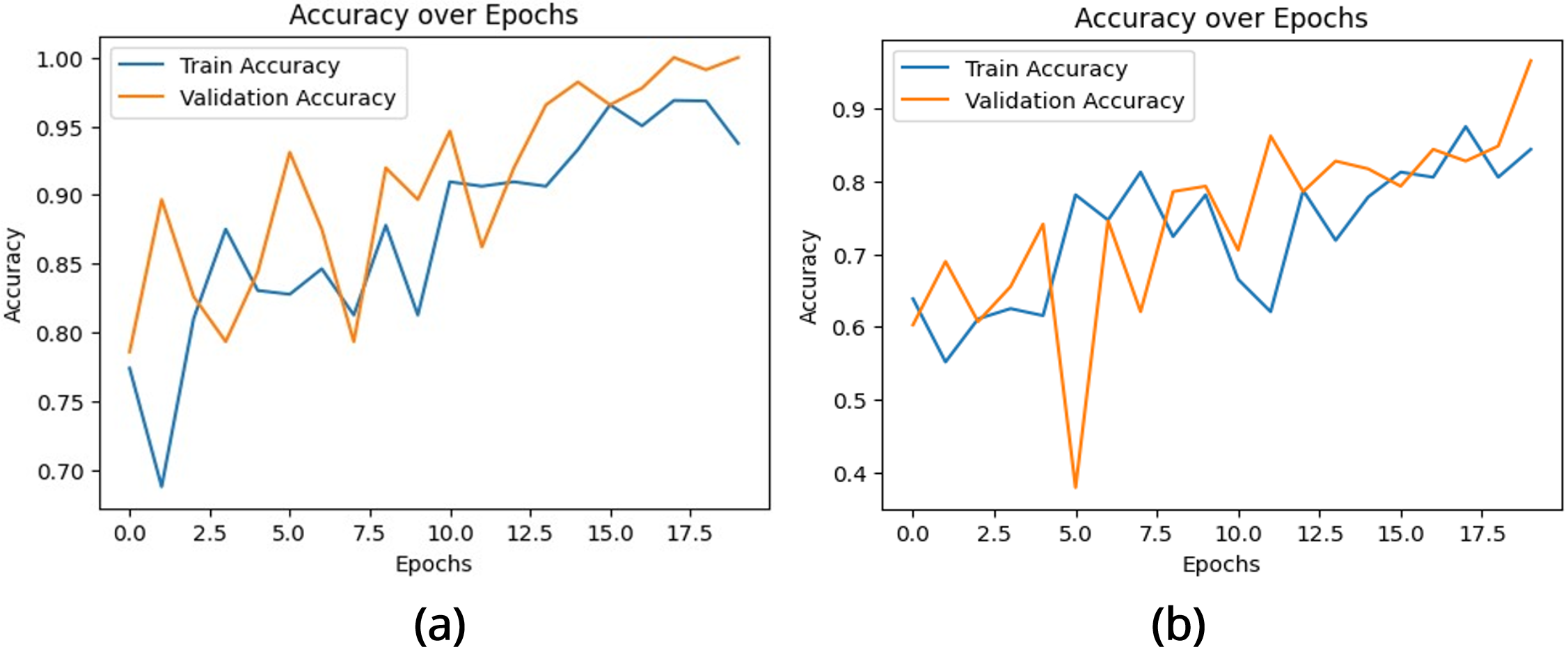 fig4.jpg