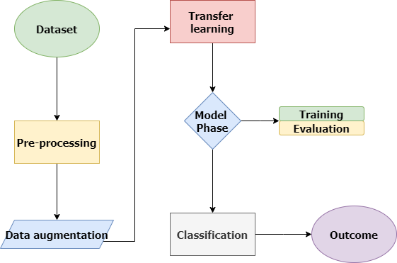 fig1.jpg