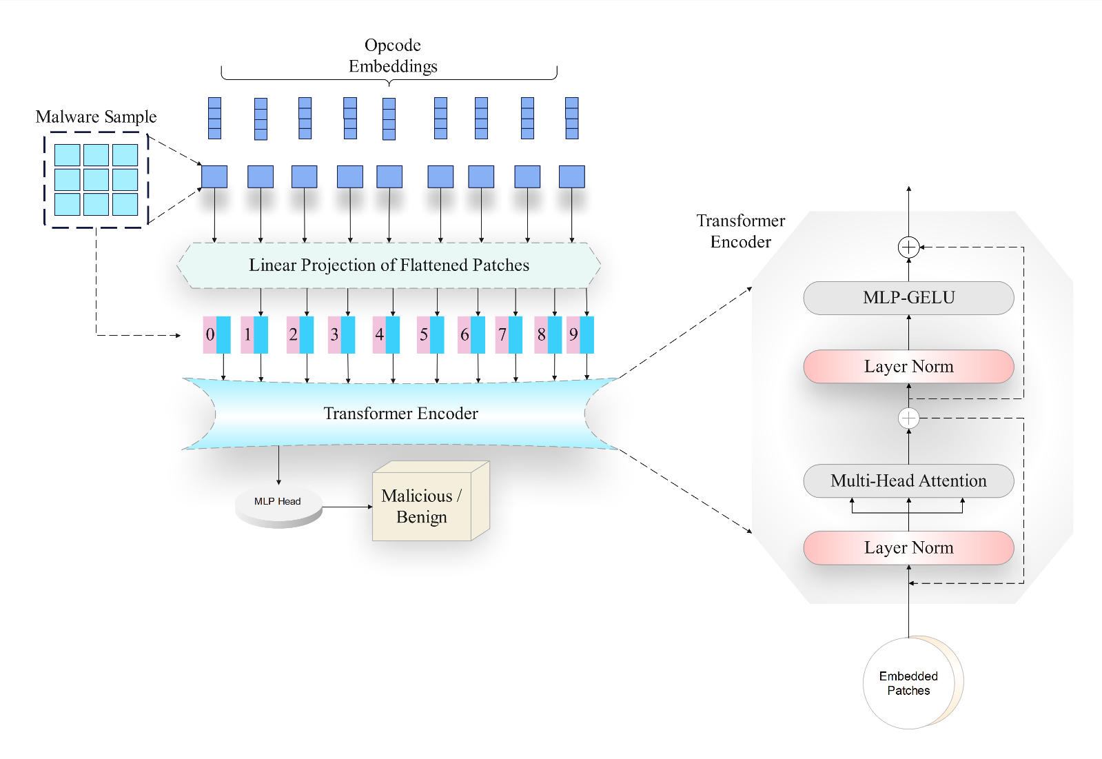 ViTDroid and Hybrid Models for Effective Android and IoT Malware Detection