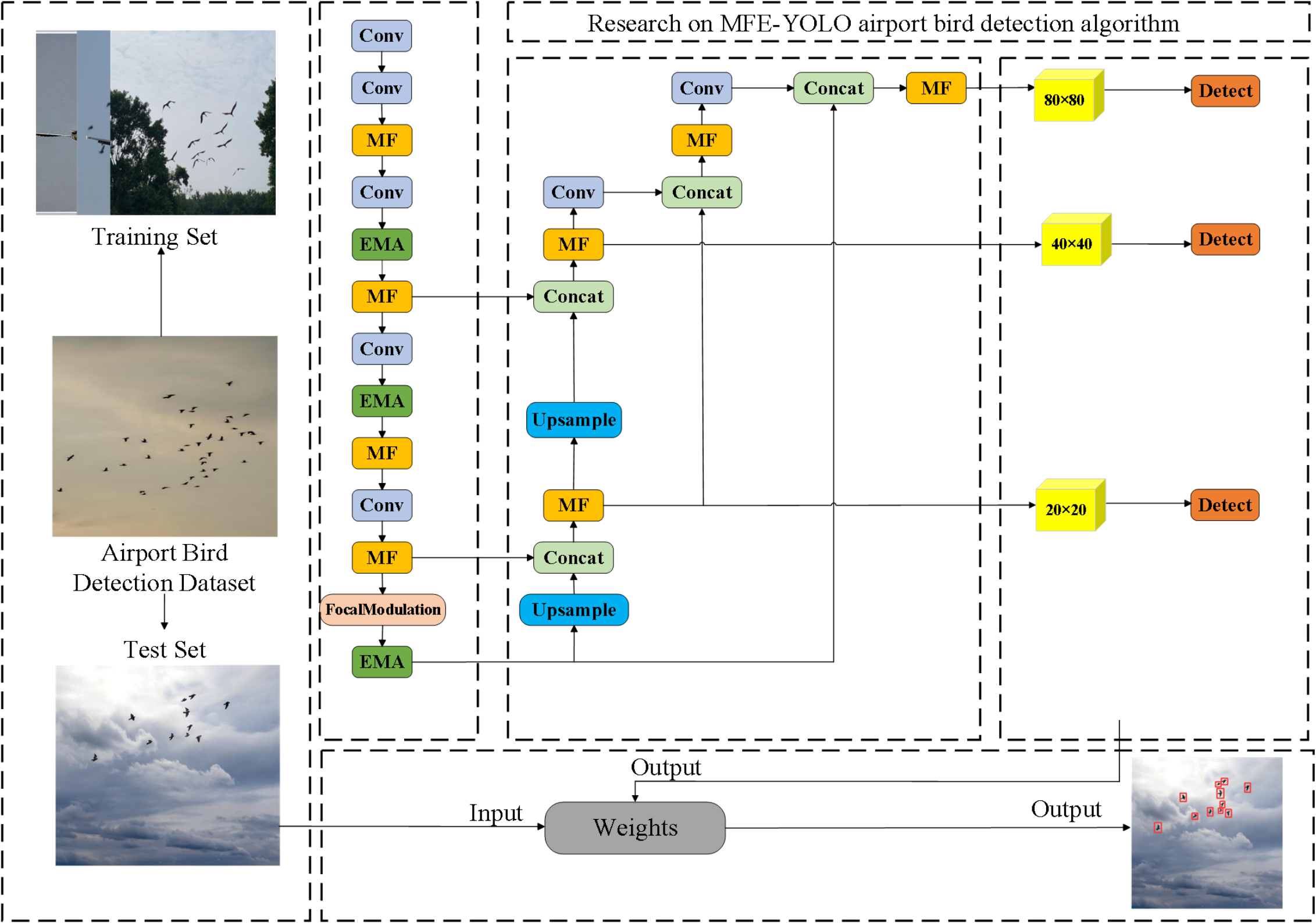 MFE-YOLO: A Multi-feature Fusion Algorithm for Airport Bird Detection