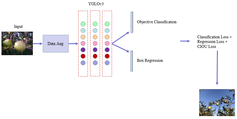 An Improved YOLOv3-Based Method for Immature Apple Detection